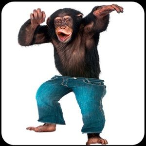 Meet your Posher, Thomas